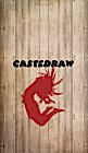 Castedraw